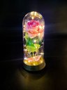 Ver imagem 1 de Luminária a Rosa Encantada a Bela e a Fera o Pequeno Príncipe Amor Lindo Média - Rosa