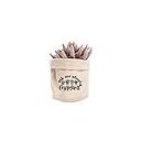 Ver imagem 4 de Cachepot Mini em Algodão Cru com Vira, Vaso para Suculentas, Presente para Ela