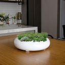 Ver imagem 2 de Vaso Bacia Decorativo Redondo Branco M 13x40 cm - D’Rossi