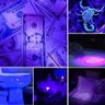 Lanterna Led Luz Negra Ultravioleta Uv Escorpião 2 em 1 Luz Branca Recarregável Tx Luz Negra Ultravi - 6