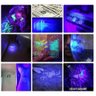 Lanterna Led Luz Negra Ultravioleta Uv Escorpião 2 em 1 Luz Branca Recarregável Tx Luz Negra Ultravi - 5