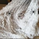 Ver imagem 6 de Teia de Aranha Realista Halloween Enfeite Kit 5 uni Festa Tematica Dia das Bruxas Susto Medo Terror