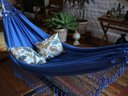 Ver imagem 1 de Rede de Descanso e Dormir Casal Reforçada Regulagem Comprimento Azul bic