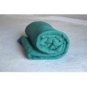 Ver imagem 1 de Cobertor Microfibra Plush Verde Esmeralda - Casal