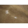 Tapete de couro de boi. Pele bovina natural. 2,00 x 1,90 m. Tons de bege. P1136 - 3