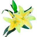 Ver imagem 1 de Kit 4 Plantas Artificiais Lírio Amarelo Enfeite Jardim 73cm