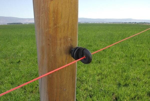 Gancho Isolador Médio Para Cerca Com 100 Unidades - 2