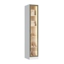 Ver imagem 1 de Guarda Roupa Modulado 1 Porta Reflecta LED Requinte+ 100% MDF