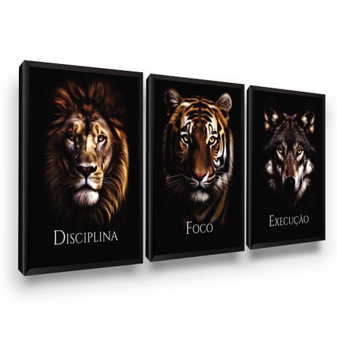 Quadros Decorativos Disciplina Execução Foco Moldura