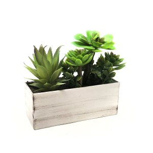 Planta Artificial Suculenta Pequeno Retangular Madeira 20cm