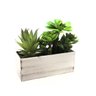 Planta Artificial Suculenta Pequeno Retangular Madeira 20cm - 1