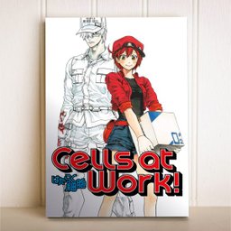 Placa Decorativa Anime Cells at Work - 1