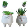 Planta Artificial Suculentas Cactos Toque Realista Kit 2 Un - 1