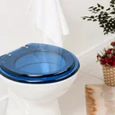 Ver imagem 6 de Assento Sanitario Poliester Azalea Azul Translucido para vaso Celite