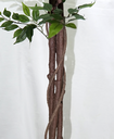 Ver imagem 4 de Árvore Planta Artificial Fícus 185cm Grande e Volumosa