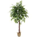 Ver imagem 1 de Árvore Planta Artificial Fícus 185cm Grande e Volumosa