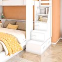 Ver imagem 7 de Beliche Family Infantil/Juvenil com Nichos e Escada Multifuncional Moon Yescasa