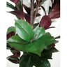 Árvore Planta Seringueira 170cm Realista - 2