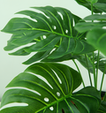 Ver imagem 2 de Planta Artificial Folhagem Costela de Adão P/vaso Decorativo