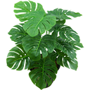 Ver imagem 1 de Planta Artificial Folhagem Costela de Adão P/vaso Decorativo