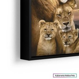 Quadro Família De Leões Colorido 100x76cm Com Moldura - 2