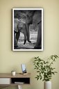 Ver imagem 2 de Quadro Decorativo Fotografia Mãe e Bebê Elefante - 70x50cm:moldura Branca