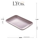 Ver imagem 5 de Kit 20 Travessas Bandeja Retangular 21x14cm Sortida Sobremesa Petiscos Lyor