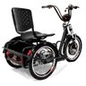 Triciclo Elétrico - Village PAM - 800w - Preto - Plug and Move - 3