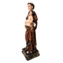 Ver imagem 3 de Imagem de Santo Antônio de Resina - 15 cm