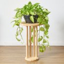 Ver imagem 2 de Mesa Lateral Flórida Casa 67