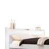 Cama Roxy Casal com Espaço Pet Branco - 3