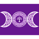 Ver imagem 2 de Toalha Triluna Roxo 73X73 Cm