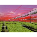 Ver imagem 3 de Tela De Sombreamento Vermelho Ultranet 35 4x10m