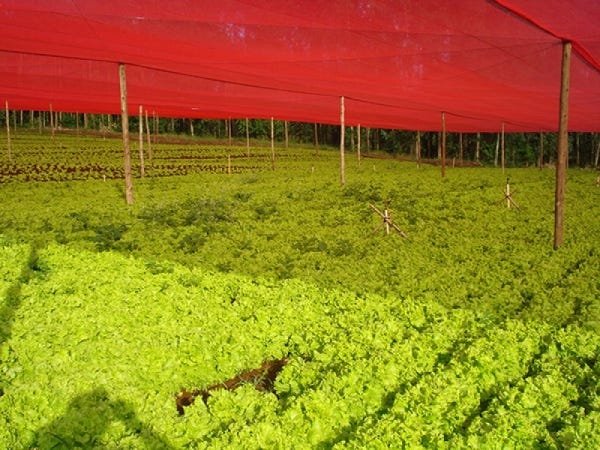 Tela De Sombreamento Vermelho Ultranet 35 4x10m - 4