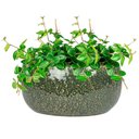 Ver imagem 2 de Bacia de Cerâmica Artesanal Verde Mischa 21x11cm Ts Brasil