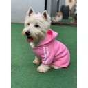 Ver imagem 1 de Roupa para Cachorro Moletom com capuz Rosa - Tam. M