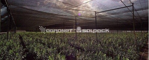 Tela Sombrite Preta 70% 4x35 - 3