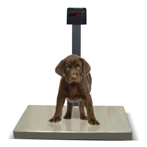 Balança Pet Digital 200kg/50g Inox Pesadora Sem Bateria Ramuza