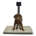 Ver imagem 1 de Balança Pet Digital 200kg/50g Inox Pesadora Sem Bateria Ramuza