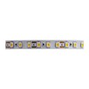 Ver imagem 1 de Fita de Led Taschibra com 5 Metros 120 Leds/m 10w 12v 4000k Luz Neutra 14040243-21