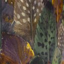 Ver imagem 2 de Papel de Parede Estampado Tons de Verde e Marrom+ Cola Inclusa- Vinilico Lavável