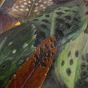 Ver imagem 5 de Papel de Parede Estampado Tons de Verde e Marrom+ Cola Inclusa- Vinilico Lavável