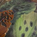 Ver imagem 3 de Papel de Parede Estampado Tons de Verde e Marrom+ Cola Inclusa- Vinilico Lavável