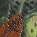 Ver imagem 4 de Papel de Parede Estampado Tons de Verde e Marrom+ Cola Inclusa- Vinilico Lavável