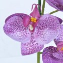 Ver imagem 3 de Arranjo de Orquídea Artificial Lilás Dani
