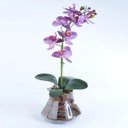 Ver imagem 1 de Arranjo de Orquídea Artificial Lilás Dani