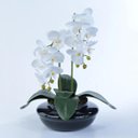 Ver imagem 2 de Arranjo de Orquídea Artificial em Terrário Pequeno Preto