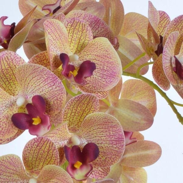Arranjo de Orquídea de Silicone Vaso Rose Gold Cris - 3