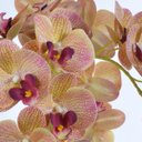 Ver imagem 3 de Arranjo de Orquídea de Silicone Vaso Rose Gold Cris