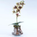 Ver imagem 2 de Arranjo de Orquídea Artificial Verde e Vinho Fernanda